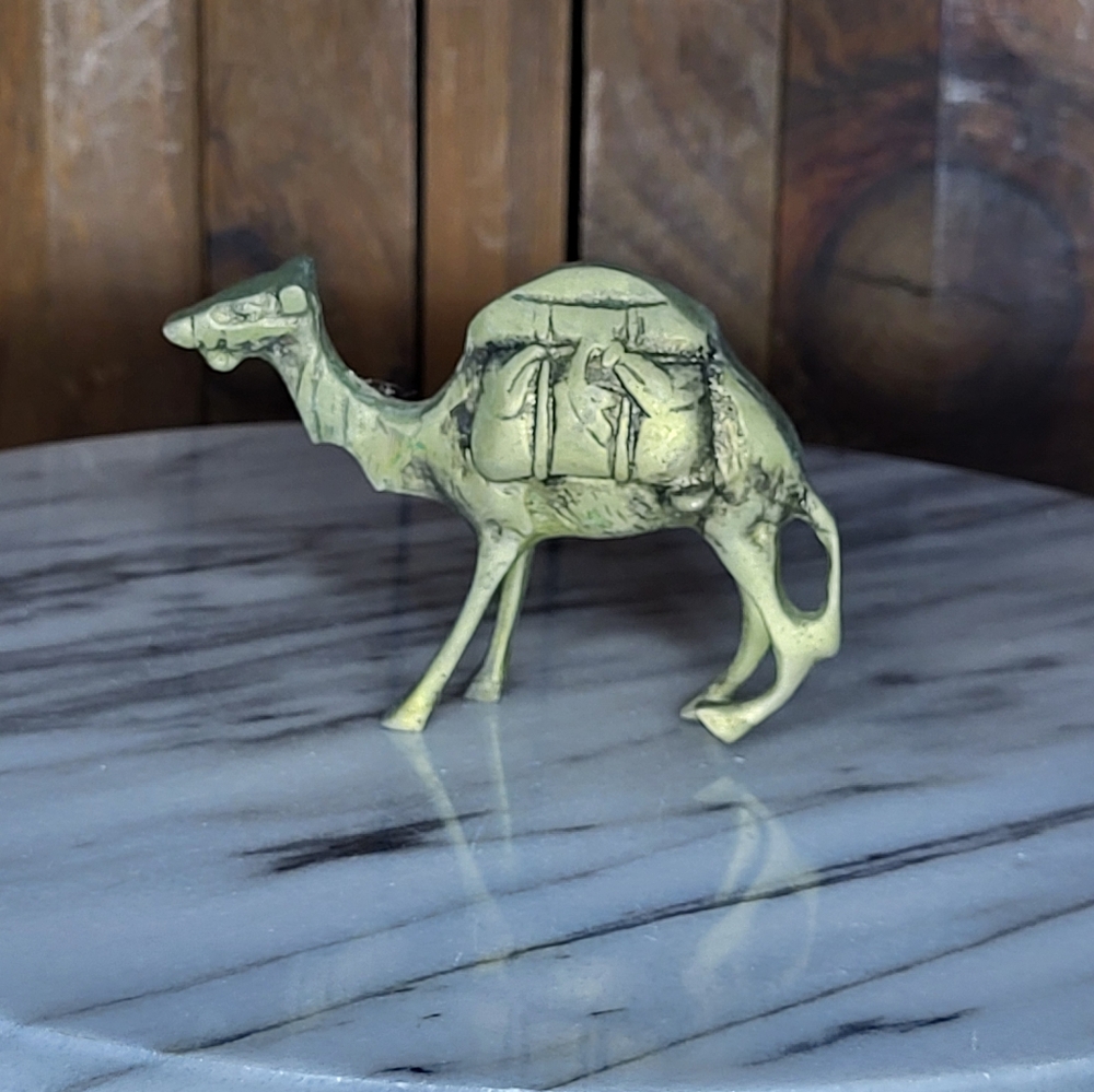 Brass Pack Camel C